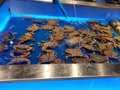 -SEA西雅图海鲜自助餐厅(正义店)