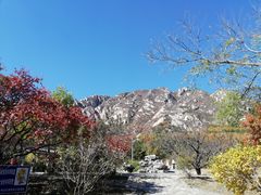 -北京凤凰岭