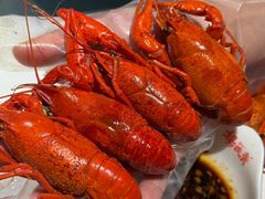 -杨氏青龙虾·羊蝎子(托乐嘉店)