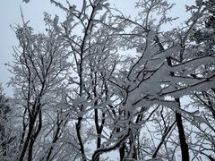 -秦岭终南山世界地质公园翠华山景区