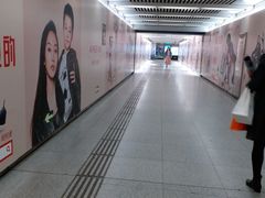 -大望路(地铁站)