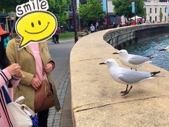 -Patagonia Chocolates(皇后镇店)