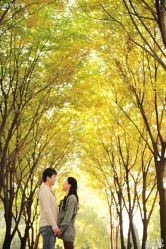 -飞鱼婚纱摄影(宏福大厦店)