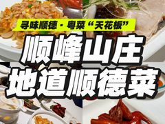 -寻味顺德·顺峰山庄(大良店)