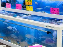 -西归浦每天偶来市场