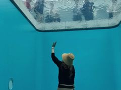 -金泽21世纪美术馆