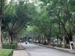 -滴水岩森林公园
