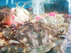 -聚德福海鲜家常菜(刘庄店)