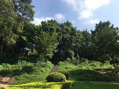 -晓港公园