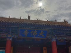 -张掖大佛寺景区