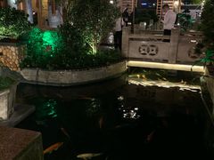 景观位-顺德了能馆(虎门店)