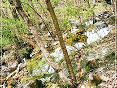 -叠溪松坪沟景区