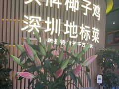 -润园四季椰子鸡火锅(南山海岸城店)