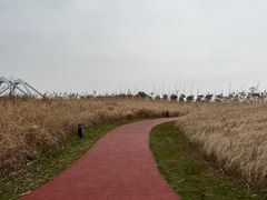 -春花秋色城市公园