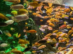 -太平洋海底世界