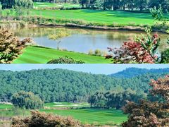 -阳光高尔夫俱乐部