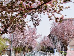 -天津五大道文化旅游区