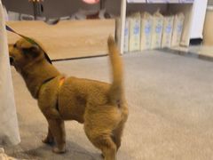 -宠颐生汉谟拉比宠物医院