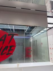 -跳动全城舞蹈