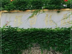 -藏龙百瀑风景区