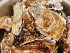 -宾朋海鲜特色美食餐厅·纯手工鲅鱼水饺(兴海路店)