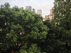 -爸爸糖手工吐司(上海五角场万达店)