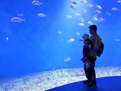 -波塞冬旅游度假区