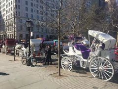 -Lady M Cake Boutique(麦迪逊大道店)