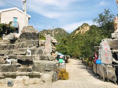 -大岭沟猕猴桃谷风景区