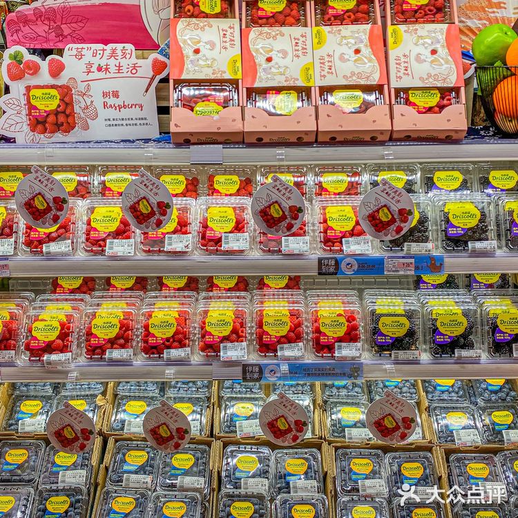 每次逛超市都要买的莓果‼️蓝莓比板栗还大🫐