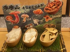 -季季山•云南野生菌火锅(上海首店)