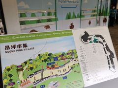 -昂坪360缆车