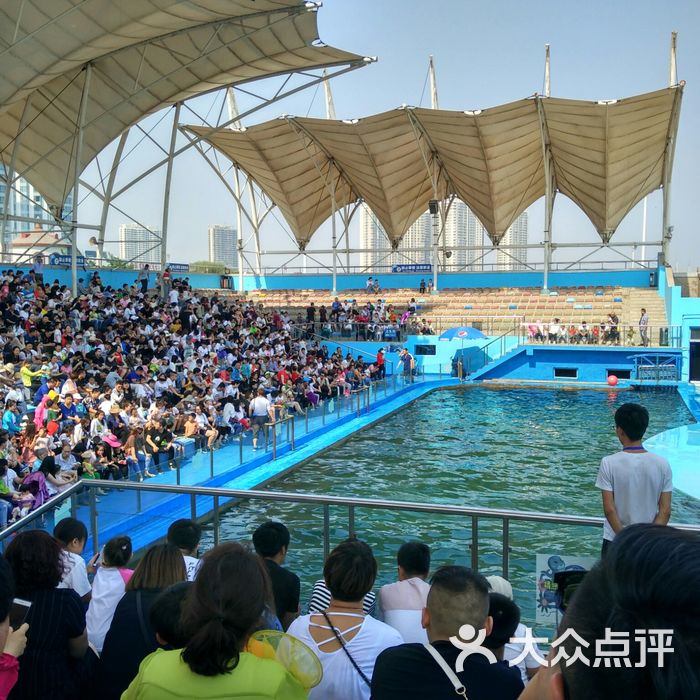 秦皇岛新澳海底世界图片-北京海洋馆-大众点评网