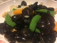 -九朝会昆曲·宴(望京店)