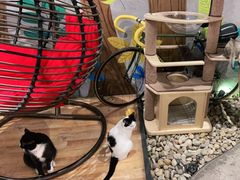 -么么咖啡(燕郊店)