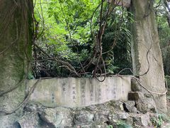 -鲁镇