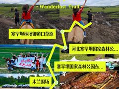 -御道口草原森林风景区