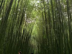 -竹泉村旅游度假区