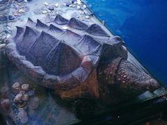 -东家小院金汤酸菜鱼(南阳路店)