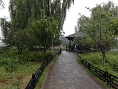 -大兴滨河森林公园