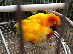 -南宫五洲植物乐园