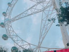 -墨尔本之星 观景摩天轮