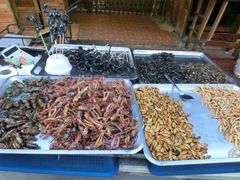 -曼谷王子宫殿酒店