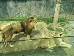 -北京野生动物园