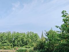 -桤木河湿地公园