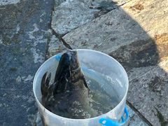 -天鹅湖体育公园