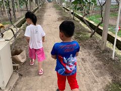 -美家乐农庄·露营·团建(大治路店)