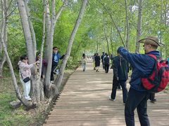 -北极村旅游风景区