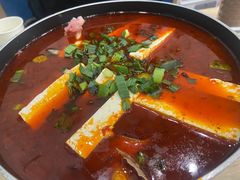 豆腐鱼火锅-贵凤凰贵州米粉(清河和盈中心店)