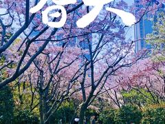-陆家嘴中心绿地